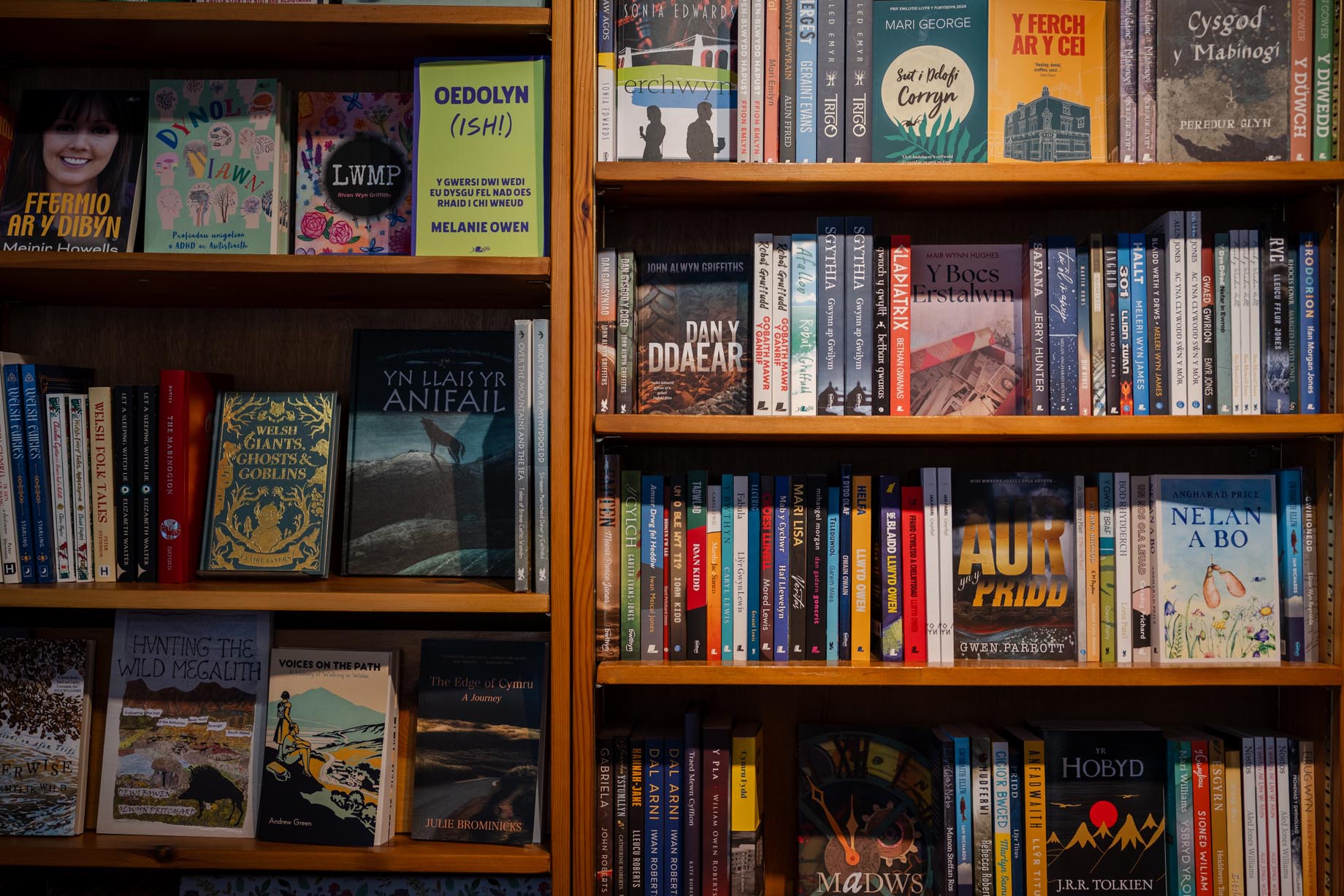 Bookshelves filled with books at a bookshop